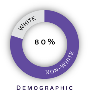 demographic