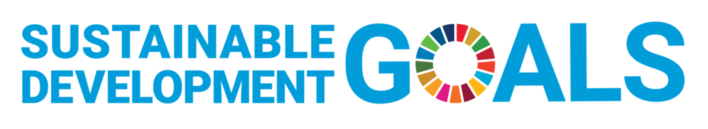 e sdg logo horizontal web.png